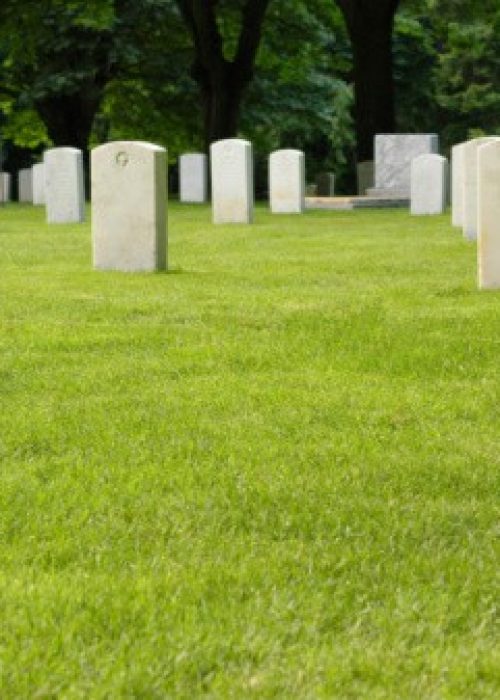 field-with-grave-plots